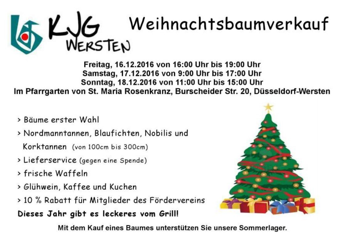 KjG-Weihnachtsbaumverkauf 2018 (c) SE Düsseldorfer Rheinbogen