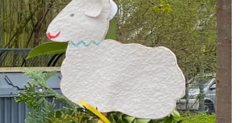 IMG_2026-03-05-105439