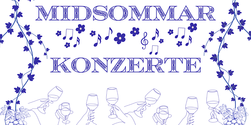 Midsommar Teaser 26
