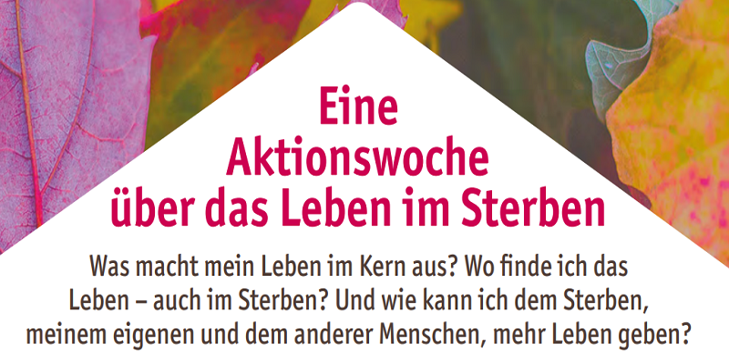 Wesentlich Werden.jpg Teaser (c) BVT